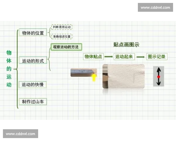 提升运动竞技表现的科学方法与训练策略全解析
