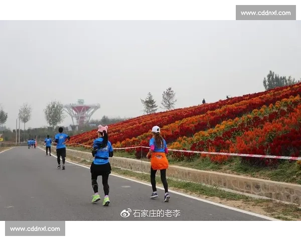 小公牛赛场争锋勇敢追梦展现激情挑战最强对手