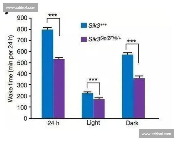 篮球训练负荷对运动员体能提升的影响与科学调控策略研究
